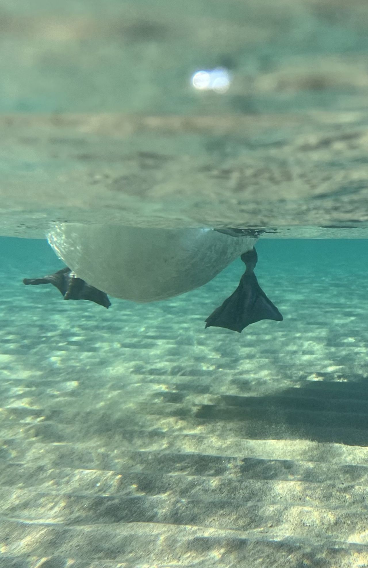 Dacci oggi il nostro mare quotidiano